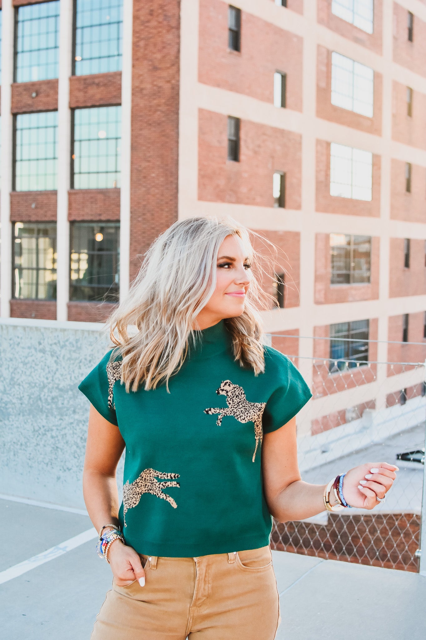 Cambria Leopard Sweater