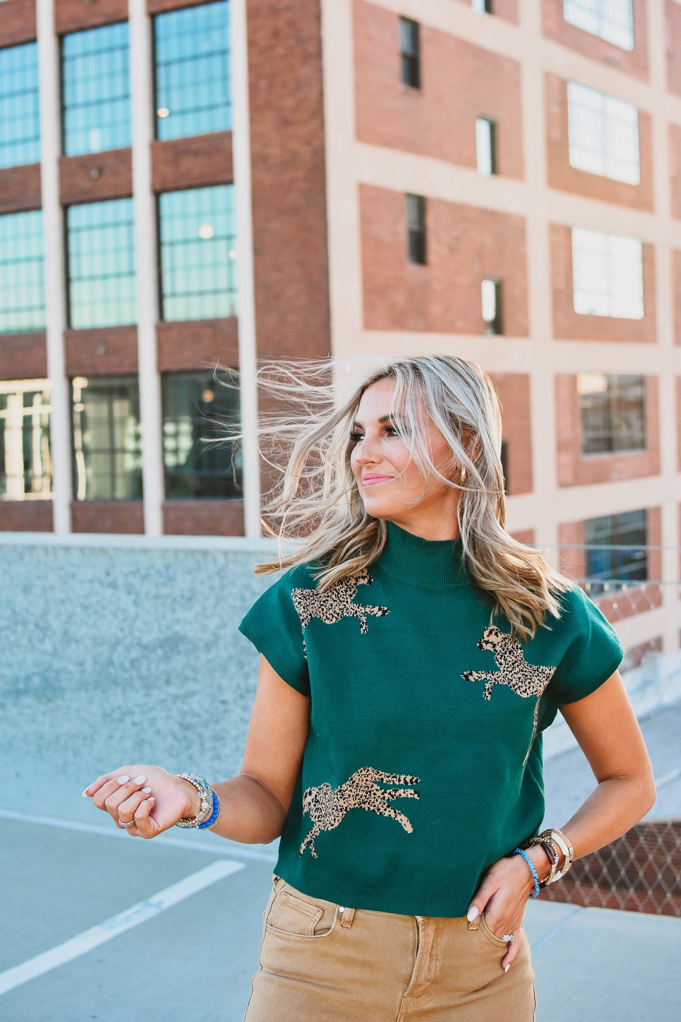 Cambria Leopard Sweater