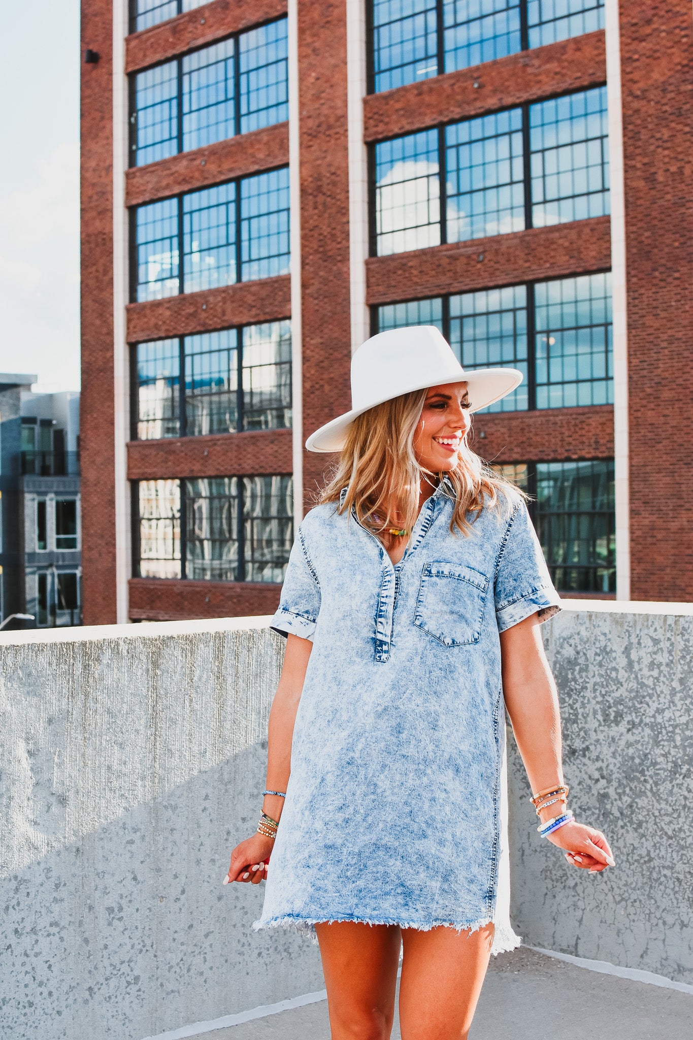 Chandler Denim Dress