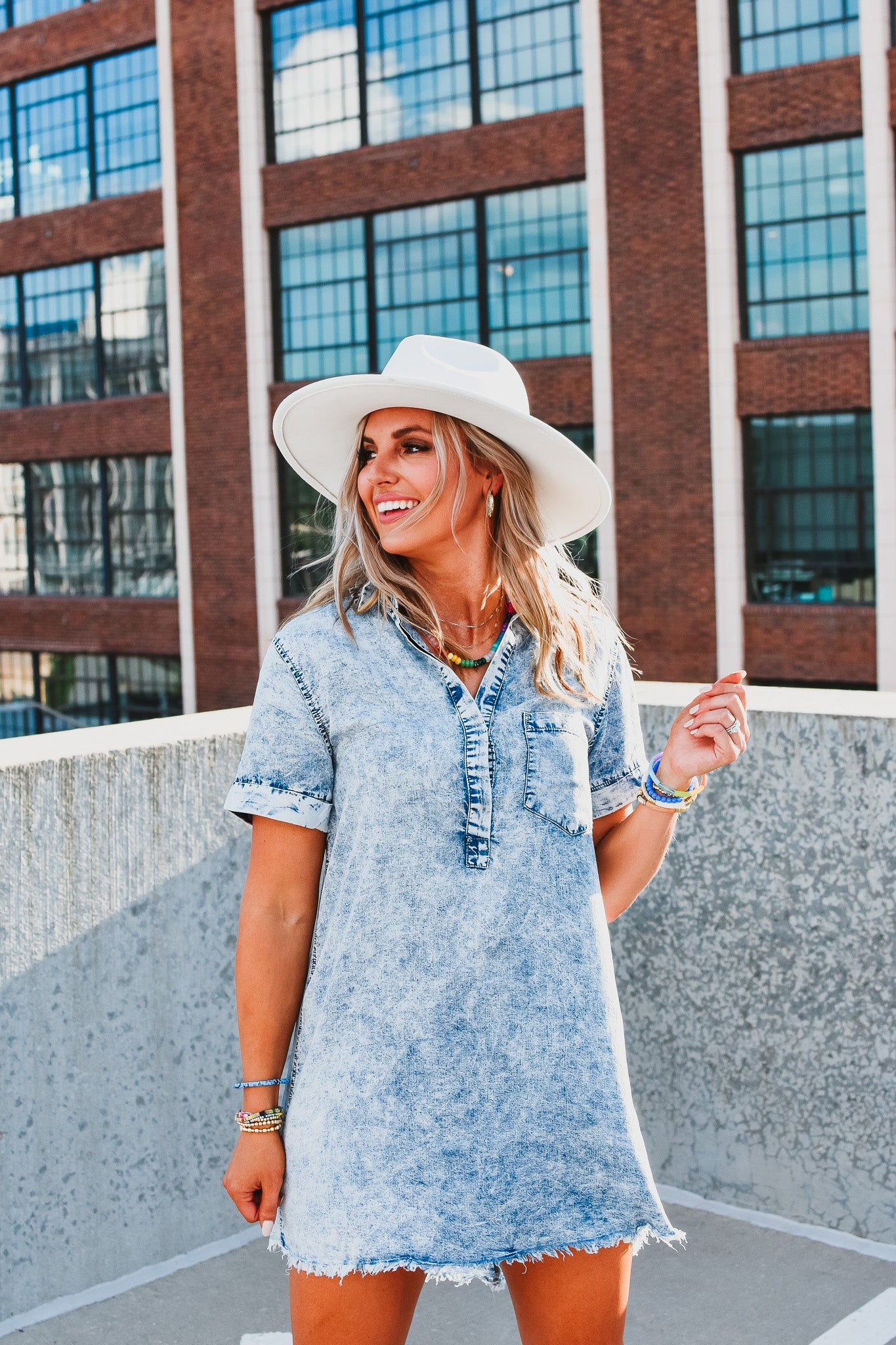 Chandler Denim Dress
