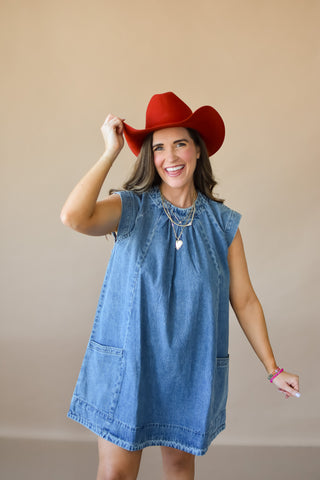 Miranda Denim Mini Dress