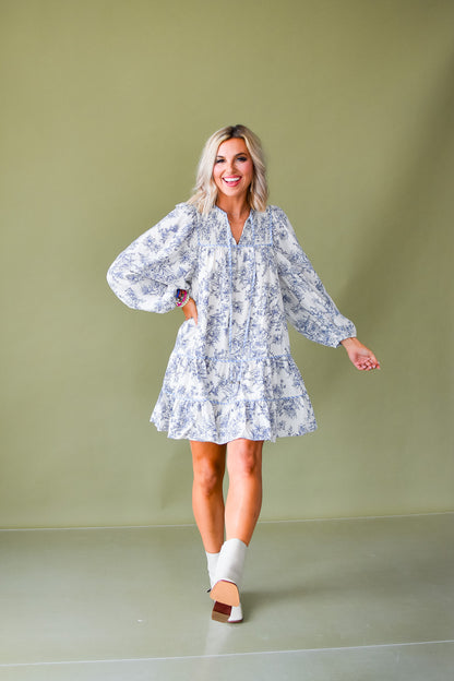 Dorota Toile Mini Dress