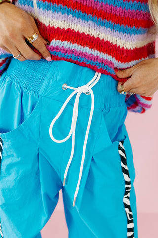 Ellie Zebra Side-Striped Pants in Aqua