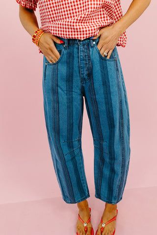 Lane Multi Colored Stripe Denim Pants