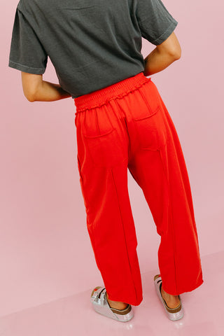 Lou Mineral Wash Barrel Pants in Red