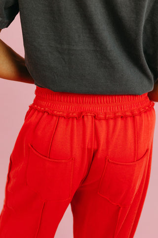 Lou Mineral Wash Barrel Pants in Red