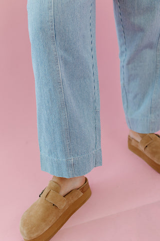 Nell Stripe Denim Pants