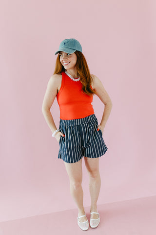 Dylan Stripe Denim Shorts In Denim