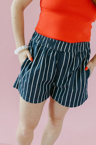 Dylan Stripe Denim Shorts In Denim