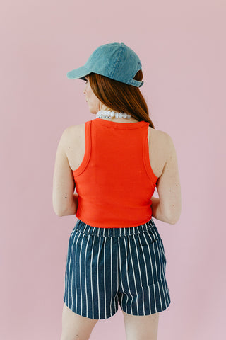 Dylan Stripe Denim Shorts In Denim