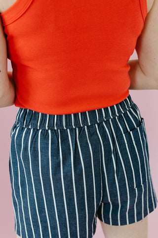 Dylan Stripe Denim Shorts In Denim