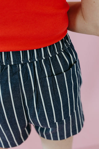 Dylan Stripe Denim Shorts In Denim