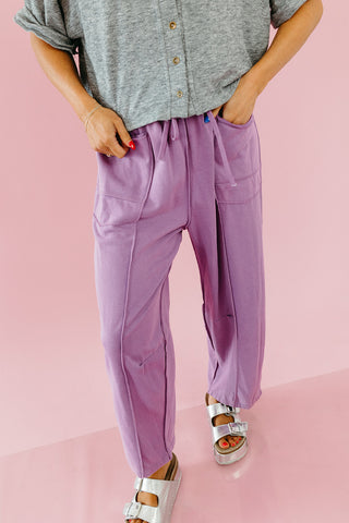 Lou Mineral Wash Barrel Pants in Purple