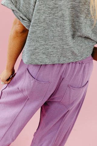 Lou Mineral Wash Barrel Pants in Purple
